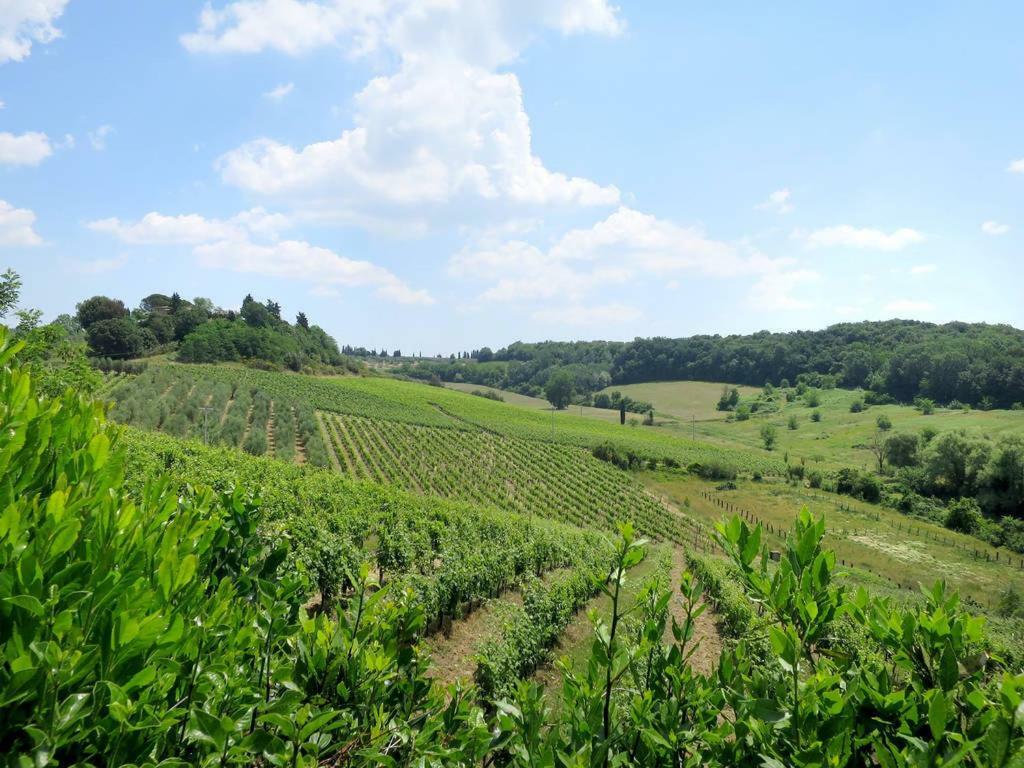 פוג'יבונסי Agriturismo La Moraia מראה חיצוני תמונה